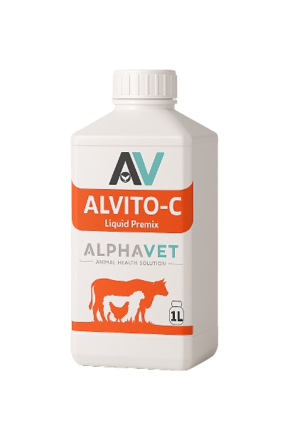 ALVITO-C
