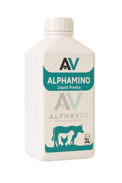 ALPHAMINO