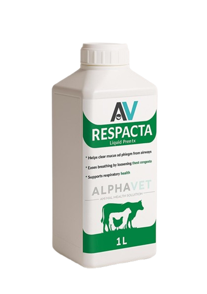 RECPACTA