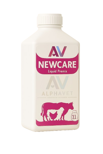 NEWCARE