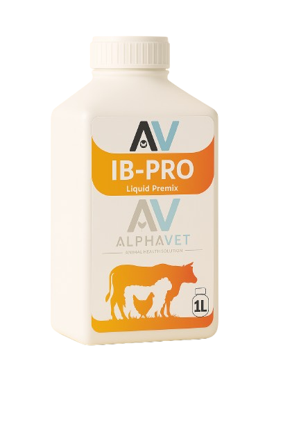 IB-PRO